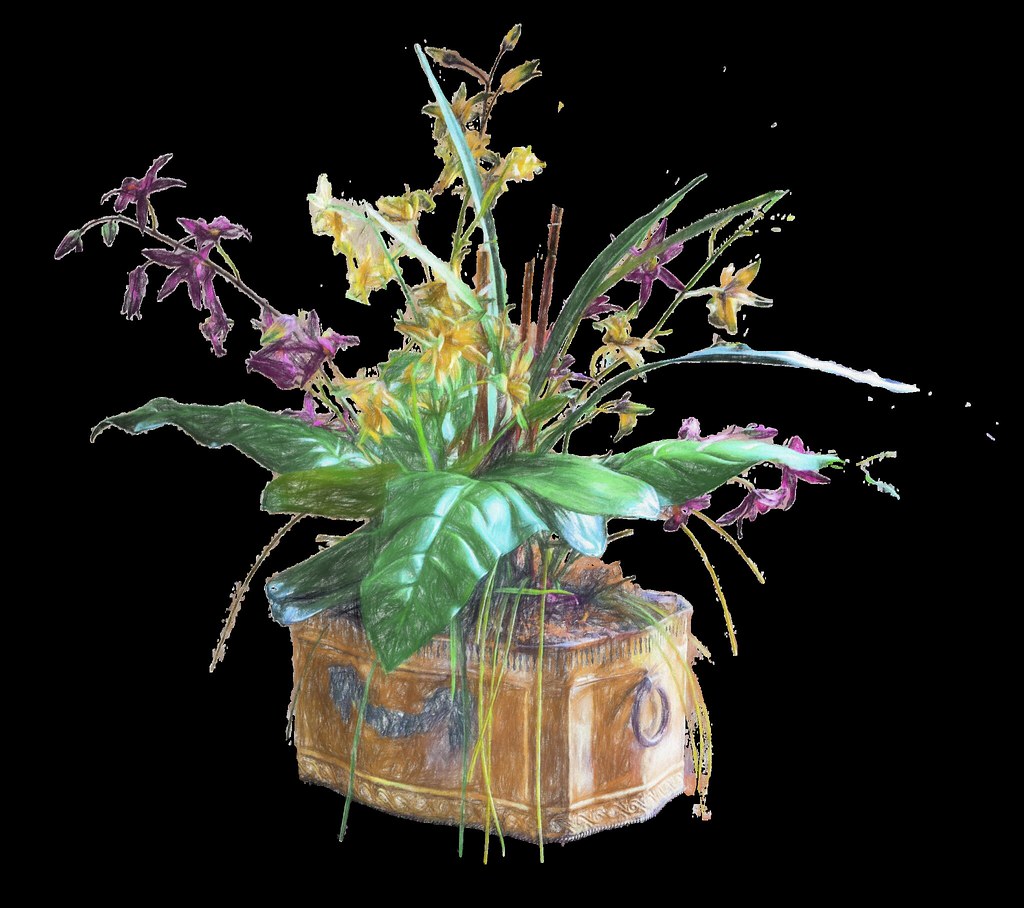 Keeping Houseplants Alive: The Basics That Matter Most